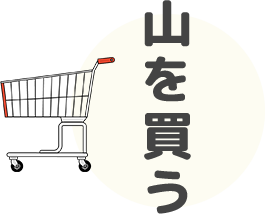 山を買う